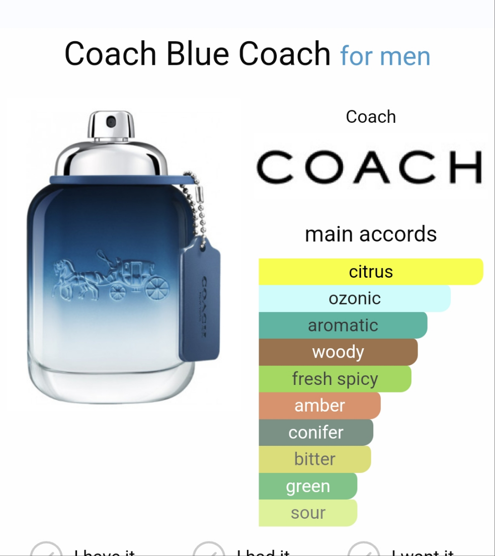 Coach Blue