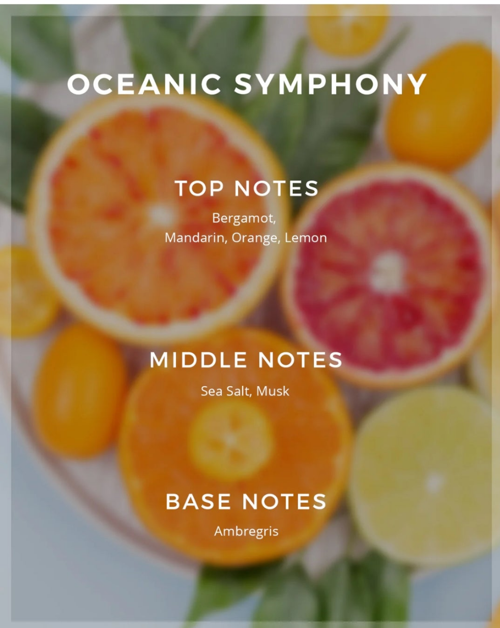 Sphinx Oceanic Symphony