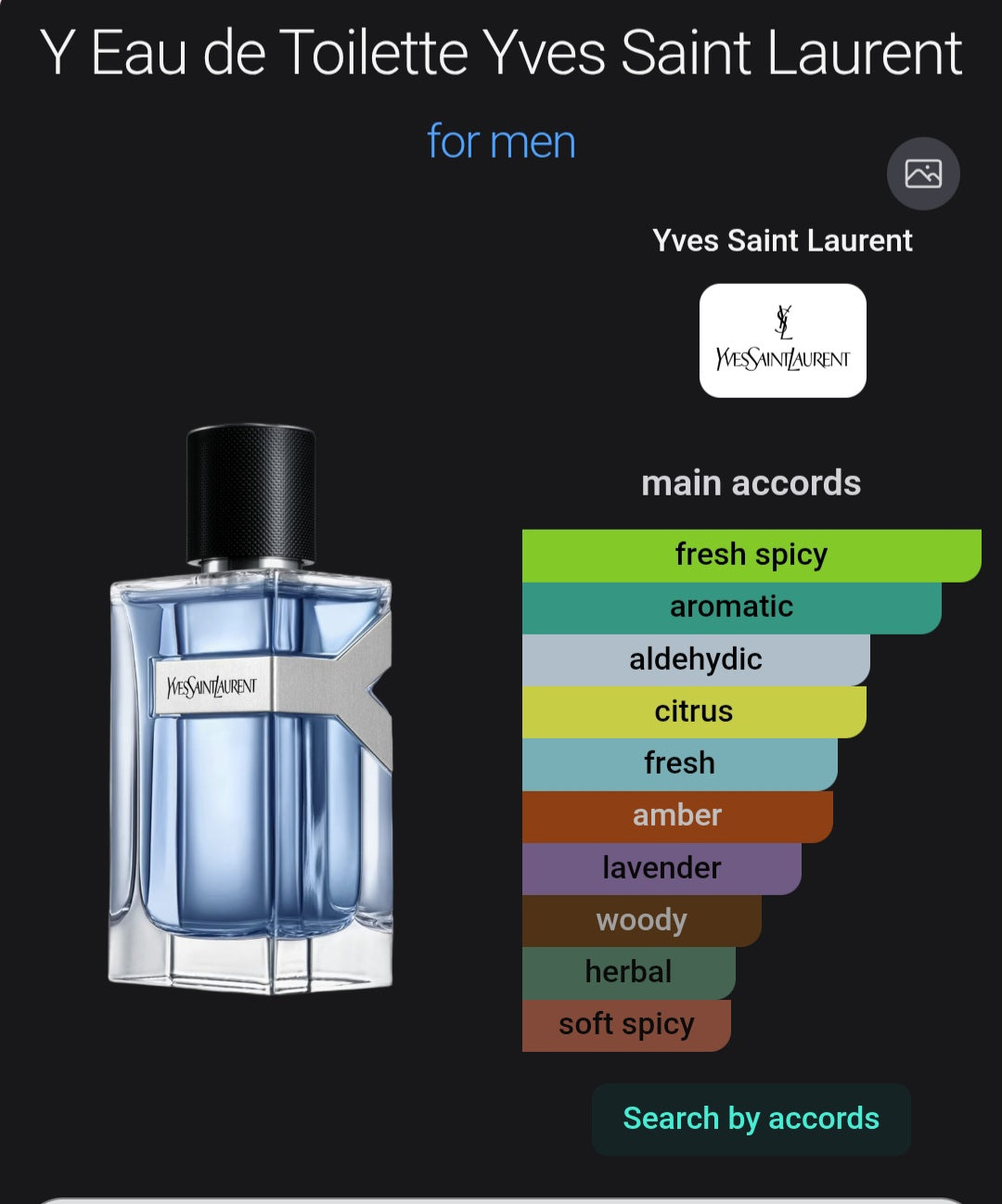 YSL Y EDT